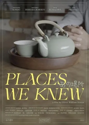 Places We Knew movie poster - Entertainment content