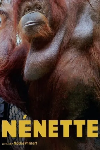 Nénette movie poster - Rated 5.8/10