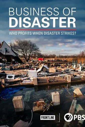 Business of Disaster movie poster - Entertainment content