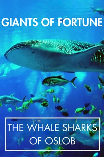 Giants of Fortune: The Whale Sharks of Oslob movie poster - Entertainment content