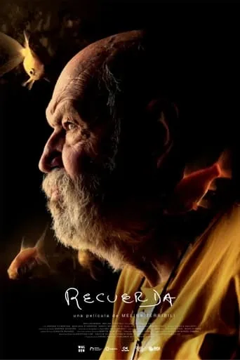 Recuerda movie poster - Entertainment content