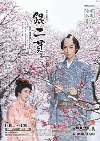 Two Pieces of Silver: The Plum-Branch Hair Pin movie poster - Entertainment content