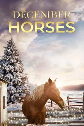 December Horses movie poster - Entertainment content