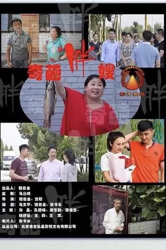 奇葩胖嫂 movie poster - Entertainment content