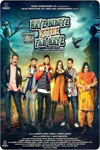 Haye Bibiye Kithe Fas Gaye movie poster - Entertainment content