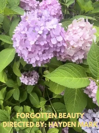 Forgotten Beauty movie poster - Rated 10/10