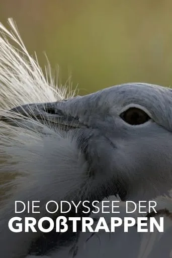 Die Odyssee der Großtrappen - Das Comeback der Riesenvögel movie poster - Rated 8/10