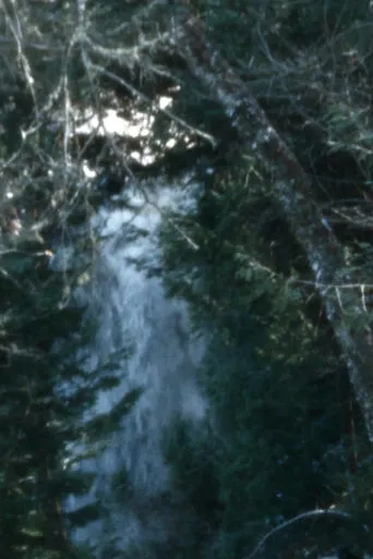 Leaves for a reel movie poster - Entertainment content