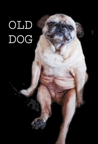 Old Dog movie poster - Entertainment content