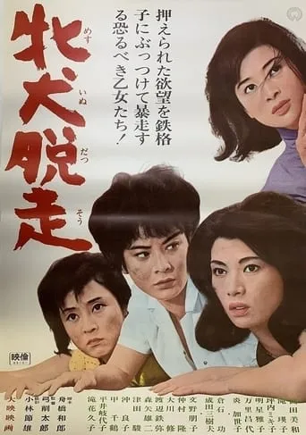 牝犬脱走 movie poster - Entertainment content