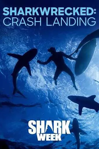 Sharkwrecked: Crash Landing movie poster - Entertainment content