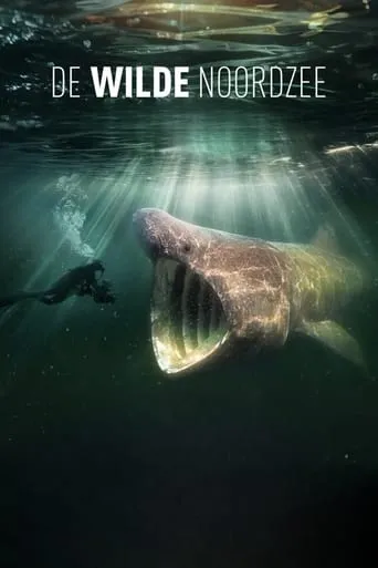 North Sea – Nature Untamed movie poster - Rated 7/10
