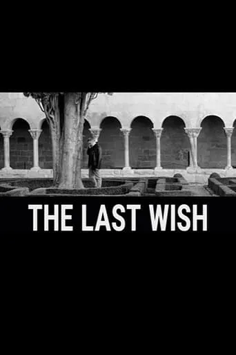 The Last Wish movie poster - Entertainment content