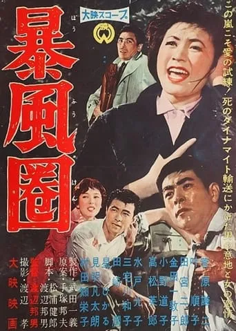 A Storm Zone movie poster - Entertainment content