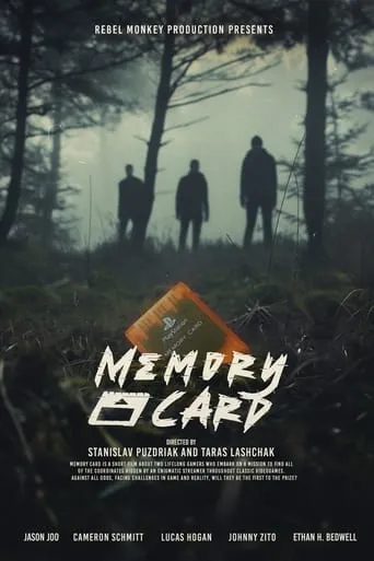 Memory Card movie poster - Entertainment content