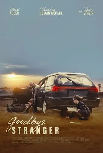 Goodbye Stranger movie poster - Entertainment content