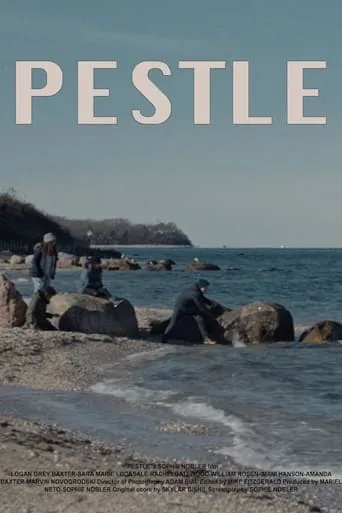 Pestle movie poster - Entertainment content