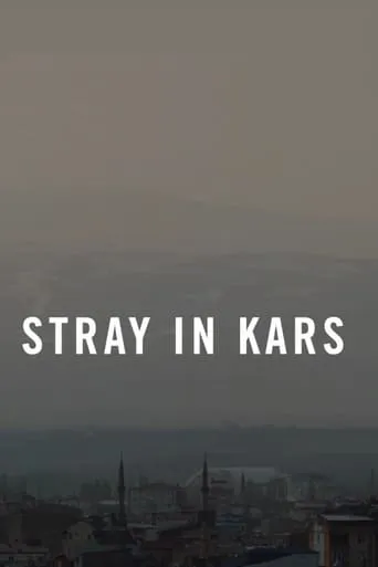 Stray in Kars movie poster - Entertainment content