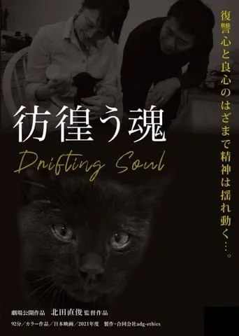 Drifting Soul movie poster - Entertainment content
