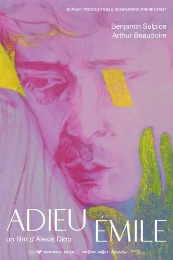 Farewell Emile movie poster - Rated 6/10