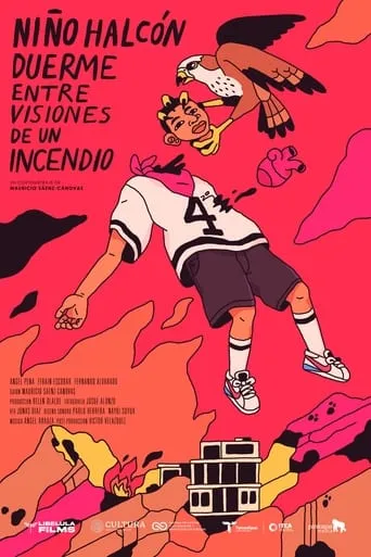 Hawk Boy Sleeps Amidst Visions of a Fire movie poster - Entertainment content