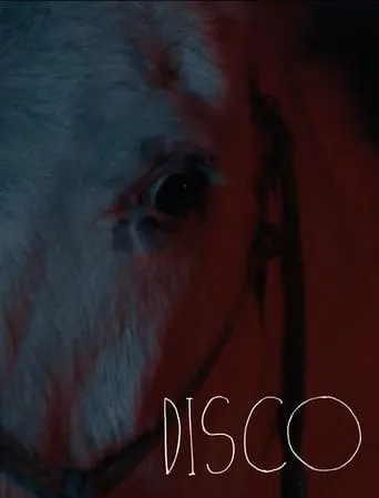 Disco movie poster - Entertainment content