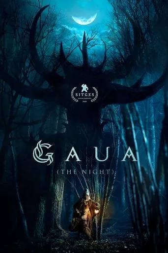 Gaua (The Night) movie poster - Entertainment content