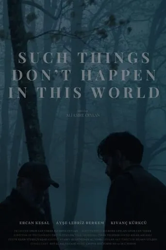 Such Things Don’t Happen in This World movie poster - Entertainment content