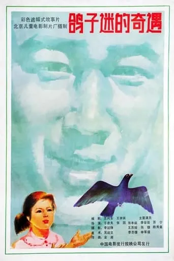 鸽子迷的奇遇 movie poster - Entertainment content
