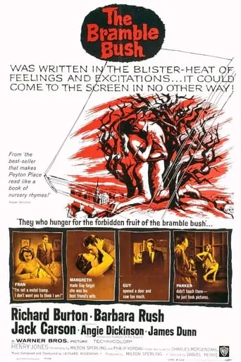 The Bramble Bush movie poster - Rated 5.5/10