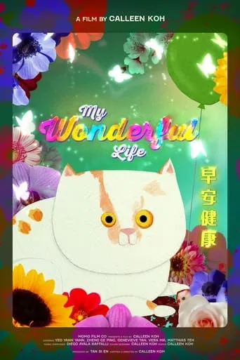 My Wonderful Life movie poster - Entertainment content