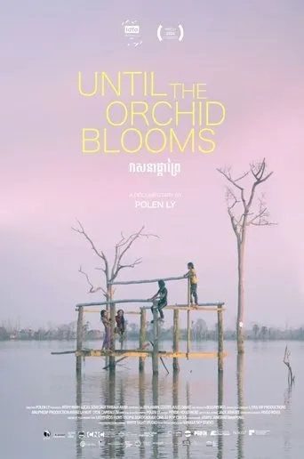 Until the Orchid Blooms movie poster - Entertainment content
