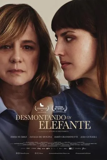 Dismantling an Elephant movie poster - Rated 7.3/10