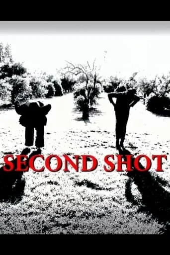 Second Shot movie poster - Entertainment content
