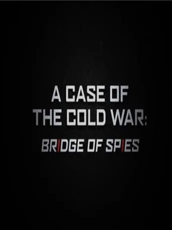 A Case of the Cold War: Bridge of Spies movie poster - Entertainment content
