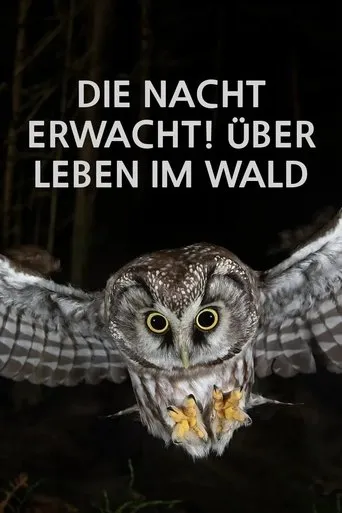 Die Nacht erwacht! Über Leben im Wald movie poster - Entertainment content