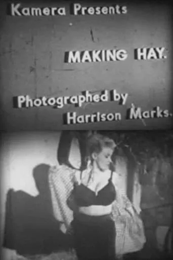 Making Hay movie poster - Entertainment content