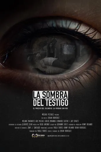 The Shadow of the Witness movie poster - Entertainment content