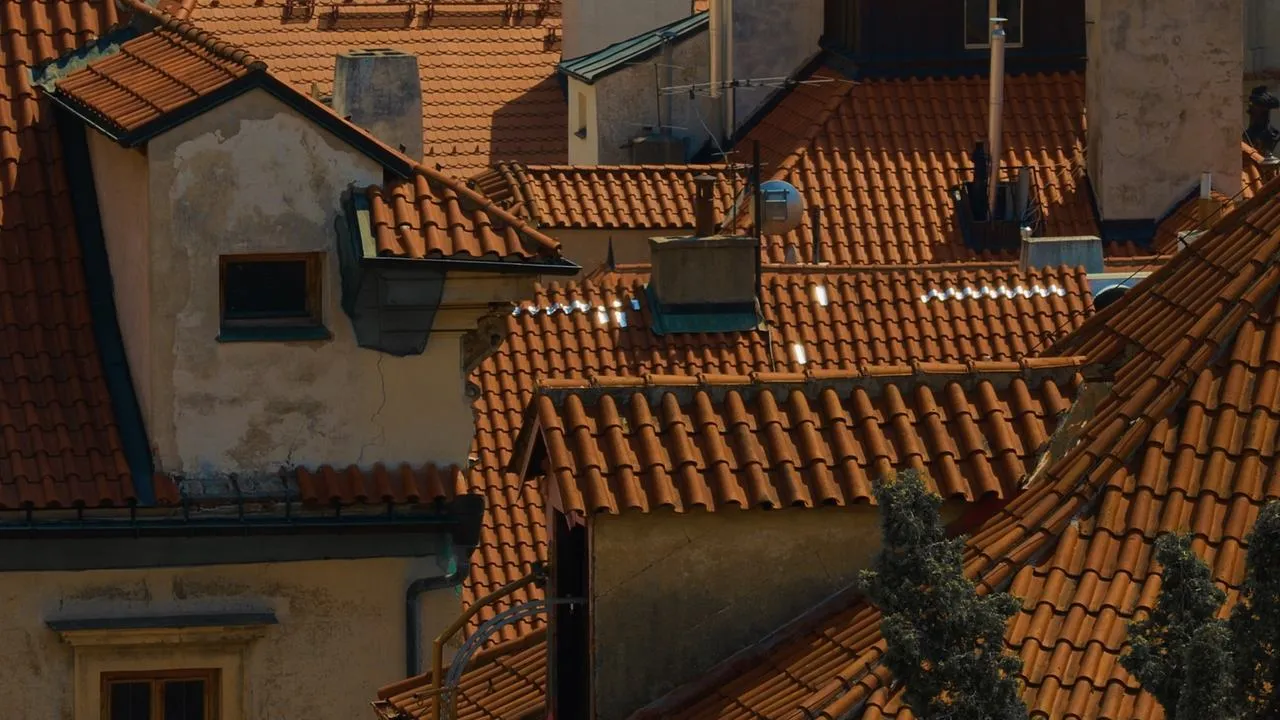 Of Birds and Roofs