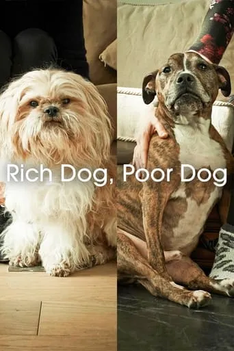 Rich Dog, Poor Dog movie poster - Entertainment content