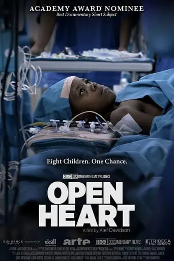 Open Heart movie poster - Rated 6.5/10
