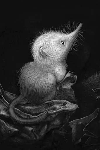 Little Shrew (Snowflake) movie poster - Rated 9/10