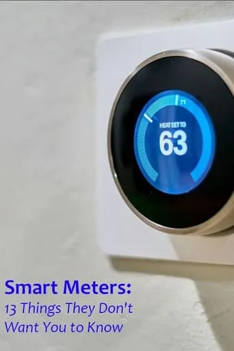 Smart Meters: 13 Things They Don't Want You to Know movie poster - Entertainment content