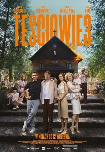 The In-Laws 3 movie poster - Entertainment content
