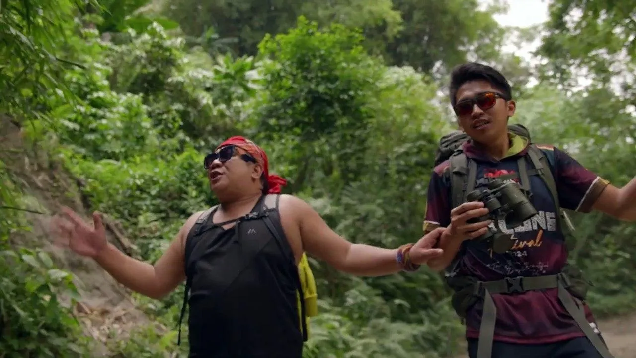 The mayan forest: When a tapir gazes upon you