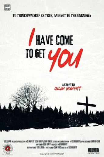 I Have Come to Get You movie poster - Entertainment content