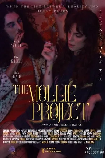 The Mollie Project movie poster - Entertainment content