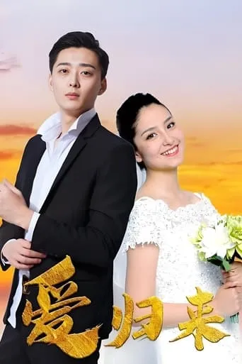 爱归来 movie poster - Entertainment content
