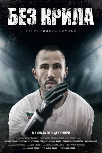 Wingless movie poster - Rated 7/10