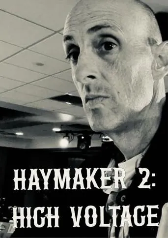 Haymaker 2: High Voltage movie poster - Entertainment content